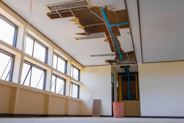 Best Commercial water damage restoration  in Pagedale, MO