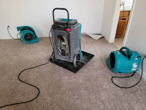 Best Basement water damage restoration  in Pagedale, MO