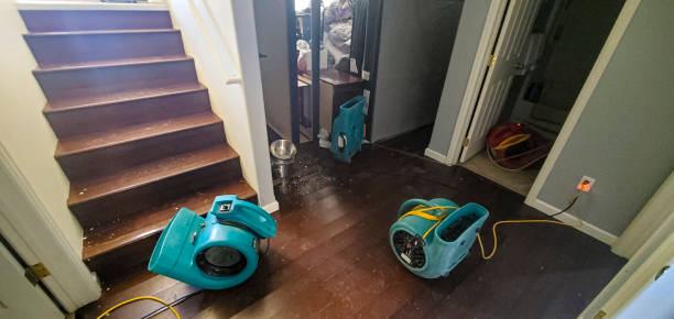 Best Fire Damage Restoration  in Pagedale, MO