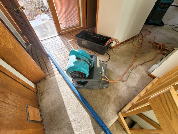Best Residential water damage restoration  in Pagedale, MO