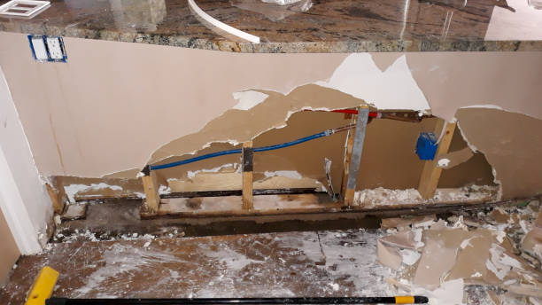 Best Commercial water damage restoration  in Pagedale, MO