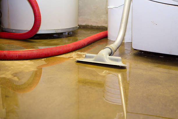 Best Professional water damage repair  in Pagedale, MO