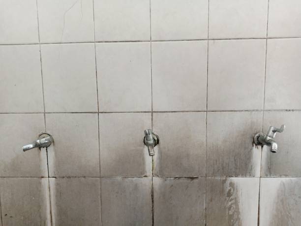 Best Flood damage cleanup  in Pagedale, MO