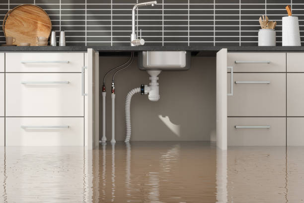 Best 24-hour water damage restoration  in Pagedale, MO