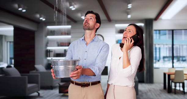 Best Water damage restoration near me  in Pagedale, MO